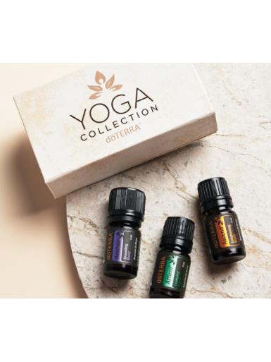doTerra Essential Oils Collection Yoga Kit – TheDepot.LakeviewOhio
